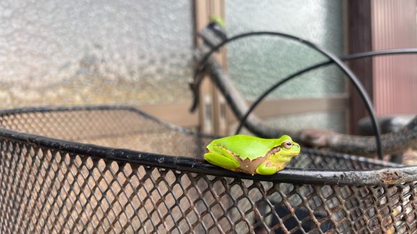 布ナプキンを試してみたら、體が楽になった話